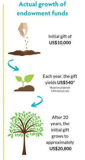 Info graphic of a tree growing that mimics the growth of funds in the endowment.