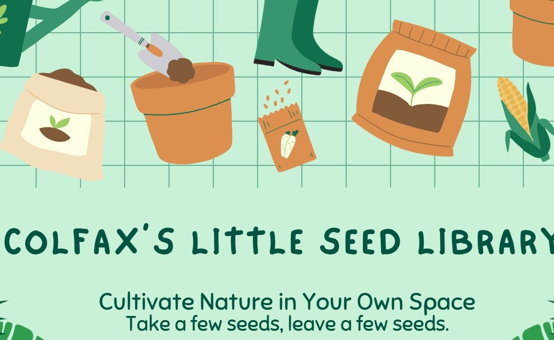Colfax’s Little Seed Library